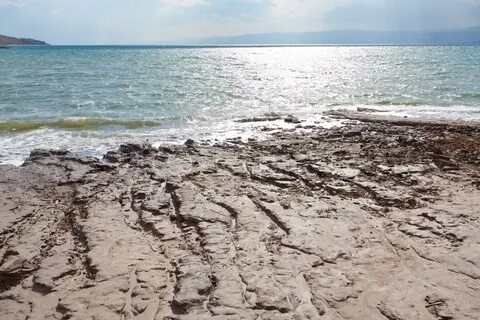 Грязь морская