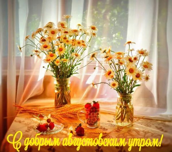 Августовское утро субботы. Доброе утро августовское утро. с добрым субботним августовским утром. открытка с добрым субботним августовским утром. с первым августовским утром.