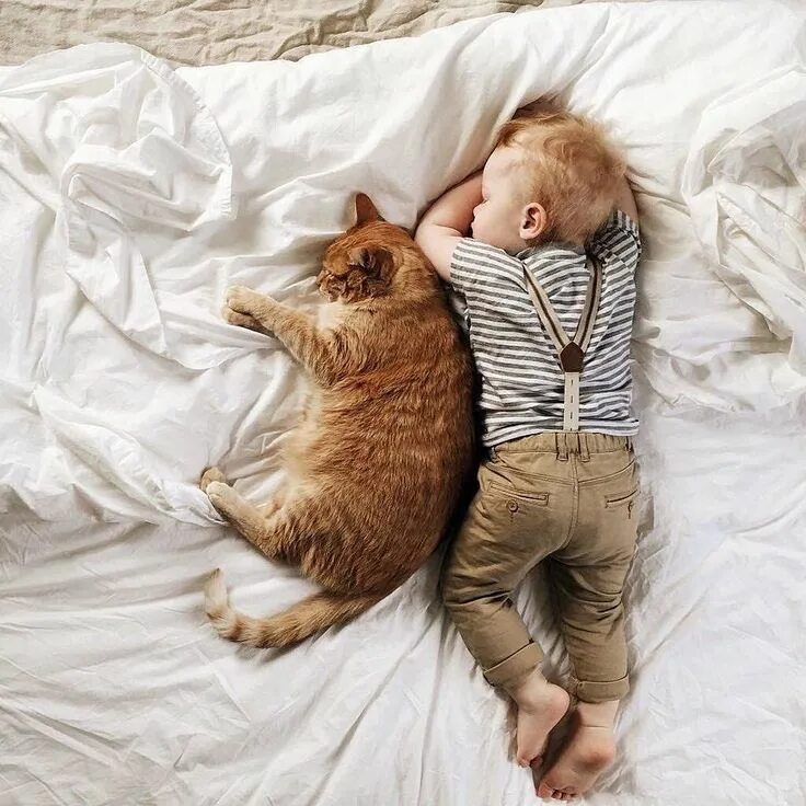 Малыш и его коты. Кот для детей. котёнок-ребёнок. дети и коты.