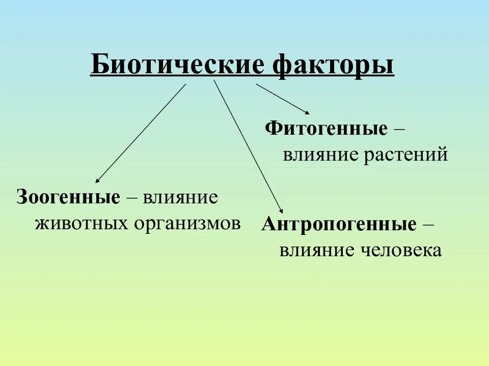 Антропогенные факторы аквариума. Фитогенные биотические факторы. Биотические факторы фитогенные зоогенные. Влияние биотических факторов на животных. Биоритмические факторы.