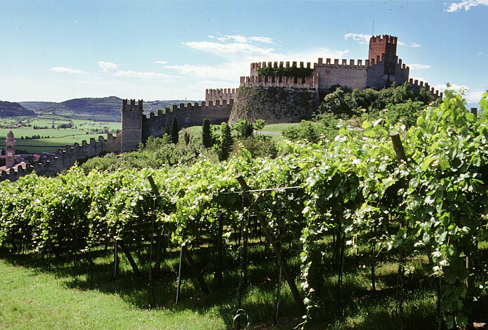 Венето Италия виноградники. Замок Соаве Италия. Умбрия Италия виноделие. Вино венето италия