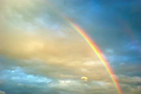 Rainbow отзывы