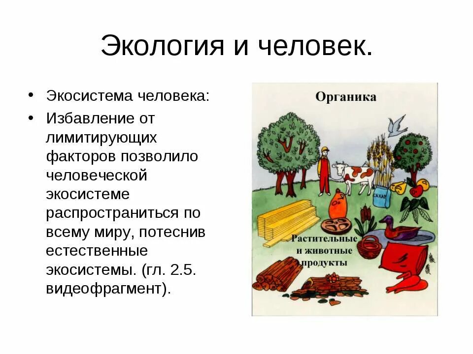 Влияние человека на экосистемы 11 класс биология. Взаимодействие человека и экосистем. Человеческие экосистемы. Человек часть экосистемы. Человек и экосистема кратко.