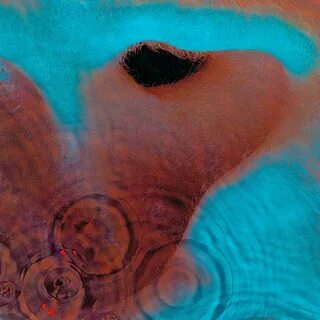 Pink floyd meddle 1971