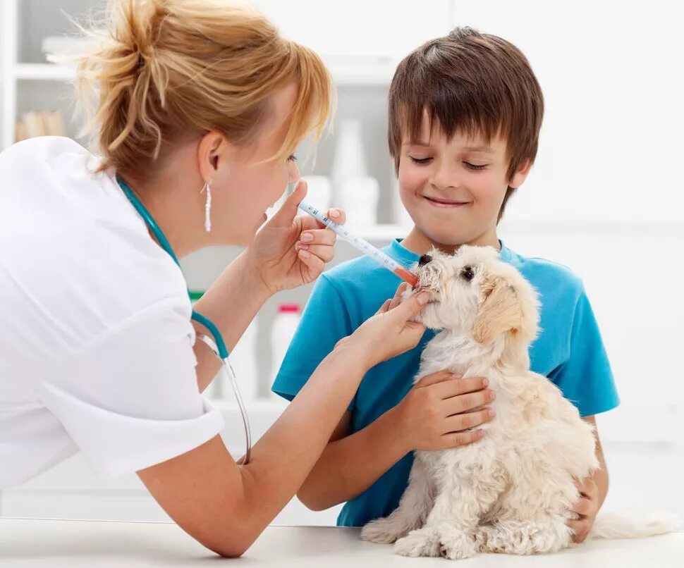Какого работать ветеринаром. Профессия ветеринар. Терапия животных. Ветеринария для детей. Ветеринарный врач для детей.