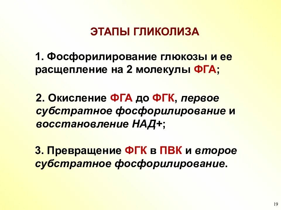 1 шаг значение