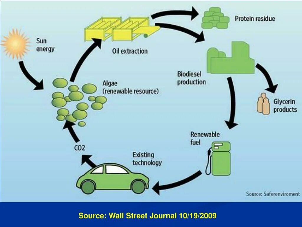 Биоэтанол схема. Биодизель схема. Биодизель из водорослей схема. Biofuel схема.