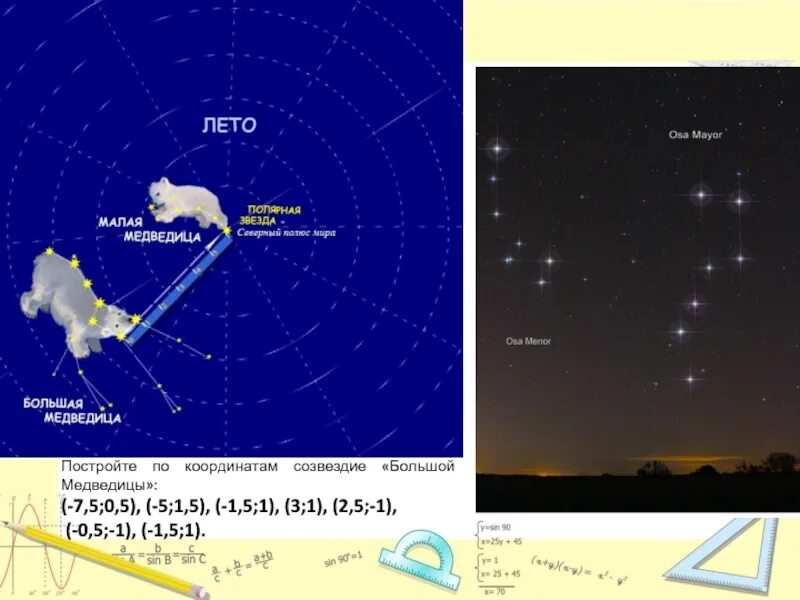 Можно ли с венеры разглядеть малую медведицу. Большая и малая Медведица. Созвездие малая Медведица и Полярная звезда. Координаты малой медведицы. Координаты созвездия малая Медведица.