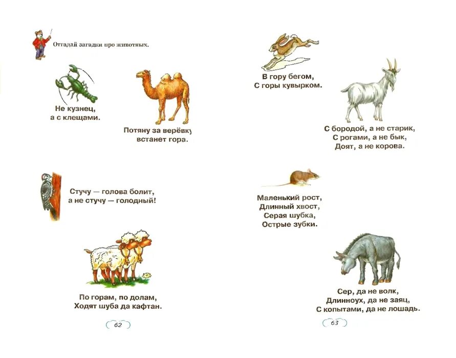 Загадки детям 3 4 года про животных. Стихи загадки про животных для детей. Загадки про детенышей животных для детей. Загадки про диких животных для детей 5-6. Загадки о диких животных для дошкольников 5-6.