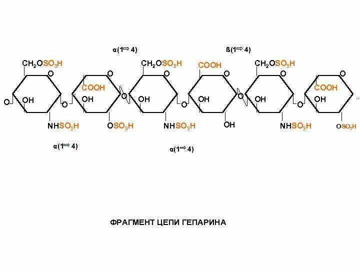 Гетерополисахариды соединительной ткани. Гетерополисахариды соединительной ткани