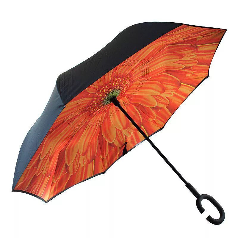 Зонт два сложения. Зонт два сложения