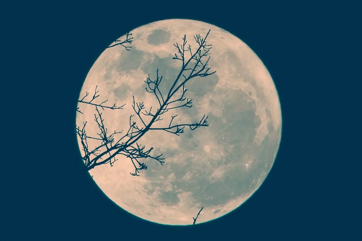 15 апреля луна