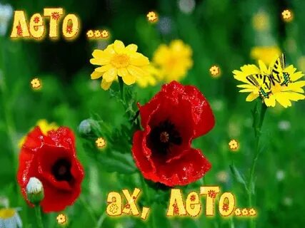 Не смотря на лето