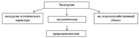 Формы экологических экскурсий