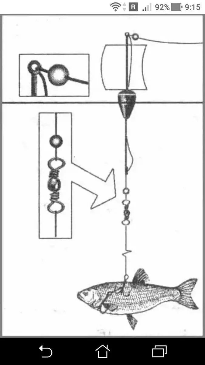 Поплавочная удочка на щуку. Щука на поплавок на живца оснастка. Снасть на щуку на живца с поплавком с берега. Монтаж на щуку на живца с берега. Удочка для ловли хищника на живца.