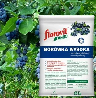 Подкисление голубики электролитом