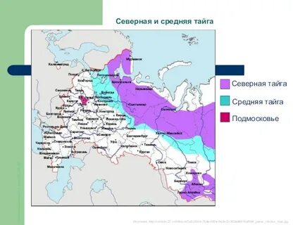 Северная средняя