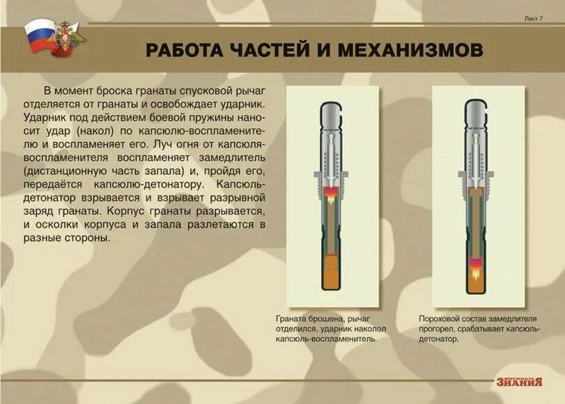 Работа частей механизмов гранаты. Механизм боевой гранаты. Виды детонаторов. Работа частей и механизмов гранат.