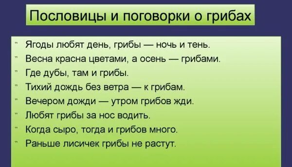 Пословицы дерево живет. Пословицы о лесе для детей. Поговорки о лесе. Пословицы и поговорки о лесе. Пословицы и поговорки на тему лес.