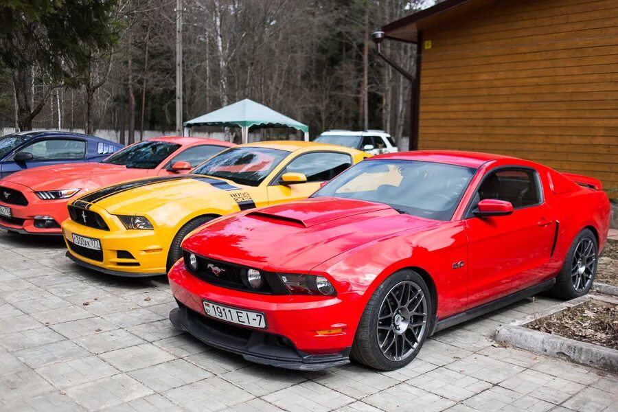 Мустанг адрес. Форд Мустанг Самара. Ford Mustang Russia. Форд Мустанг Симферополь. Форд мустан в Красном Кенди.