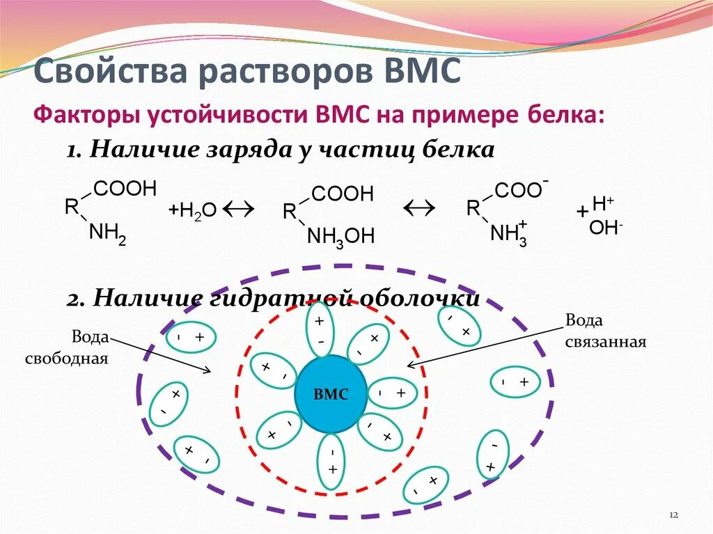 Свойства коллоидных растворов вмс. Свойства коллоидных растворов вмс