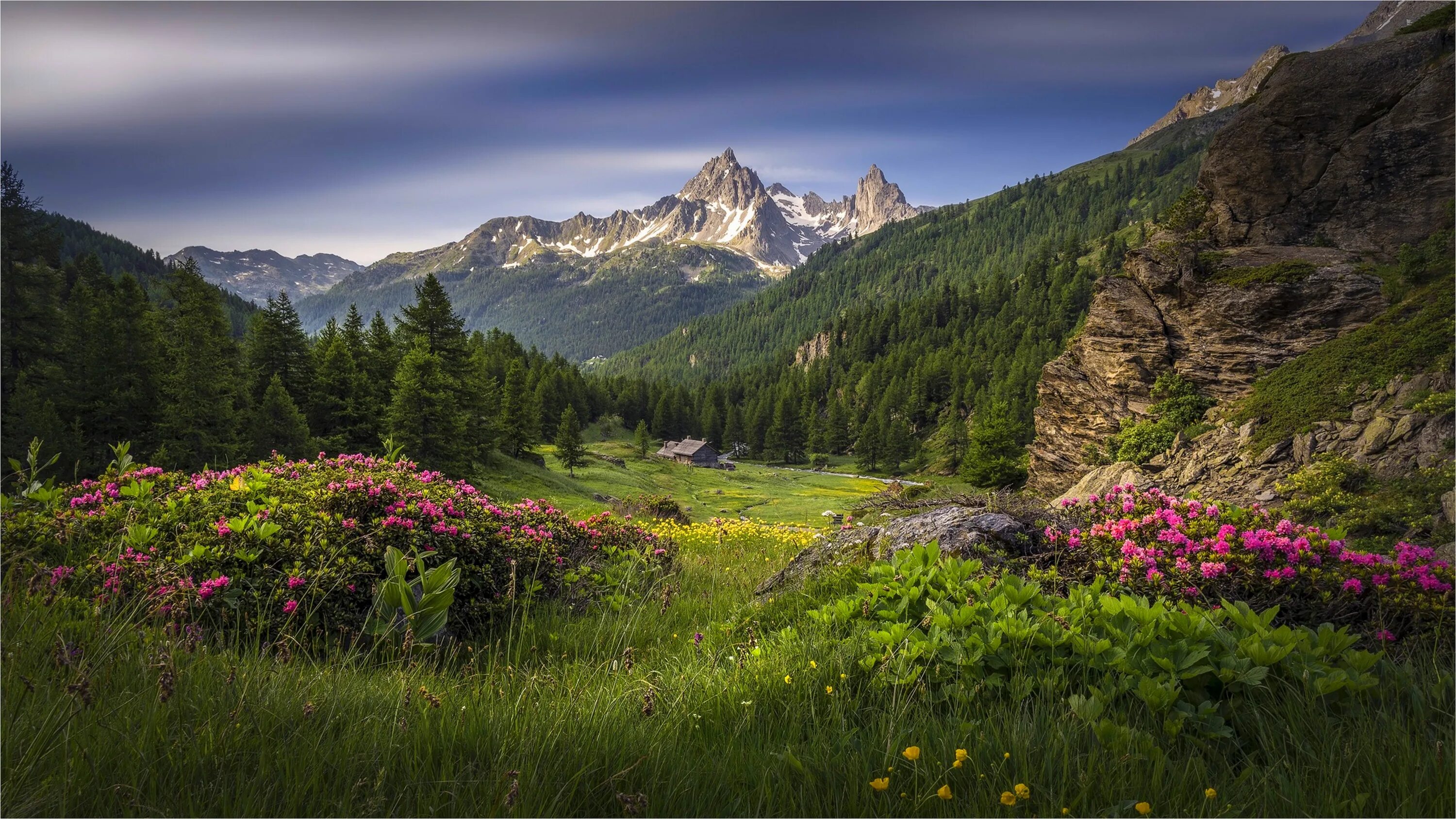 Scenery view