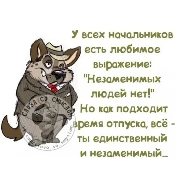 Приняли в работу выражение