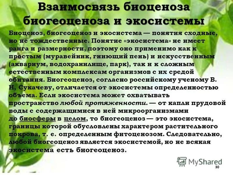 Роль человека в биогеоценозе