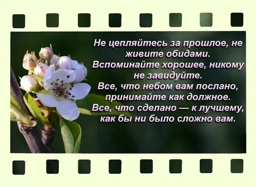 Вспомним хорошее. Не цепляйтесь за прошлое стих. не цепляйтесь за прошлое не живите обидами вспоминайте хорошее. не живите обидами стих. никому не завидуйте вспоминайте хорошее.