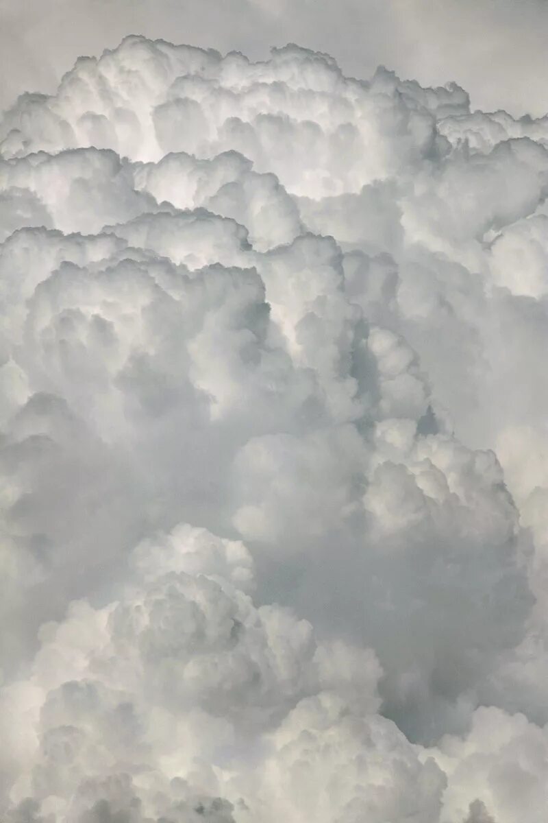 Среди серых облаков текст. Облака. Густые облака. Небо с облаками. Белое облако.