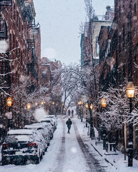 Америка зимнее время. Зима в Бостоне. Бостон климат. Парк Фенуа в Бостоне. Погода Бустон.