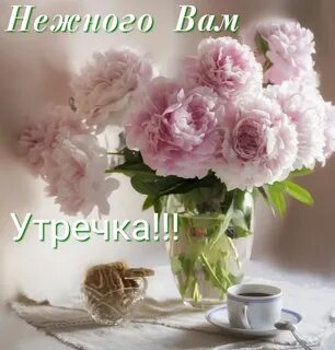 Доброе утро пионы