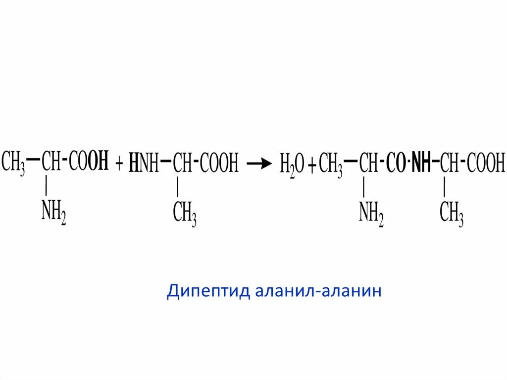 Дипептид аланилаланин. Аланин метионин дипептид. Дипептид формула. Структура дипептида. Напишите реакцию глицина