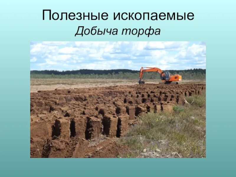 Добыча торфа в Ленинградской области 4 класс. Добыча торфа в Ленинградской области 4 класс окружающий. Полезные ископаемые Ленинградской области торф. Полезные ископаемые торф добыча.