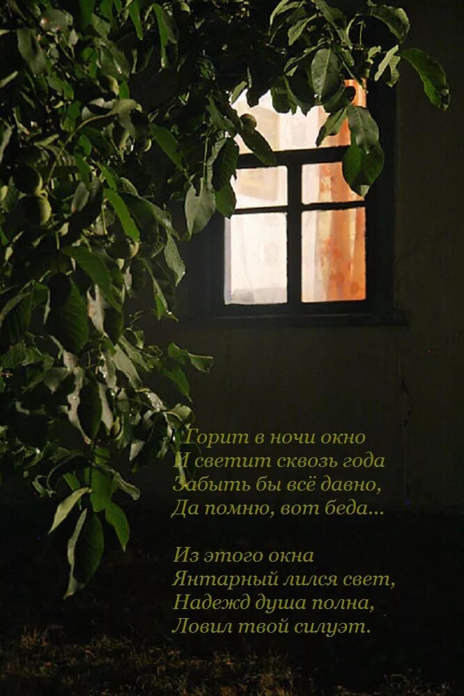 Свет в окне читать. Свет в окне. Окно ночью. Свет в окне дома. Свет в окнах домов.