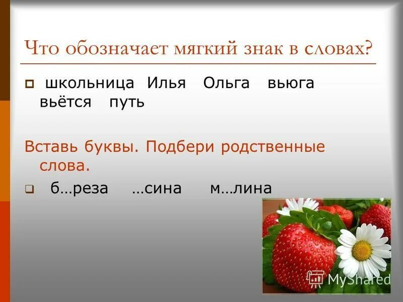 Вьюга какая функция мягкого знака