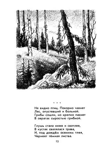 Не видно птиц покорно чахнет. Стихотворение не видно птиц. Стихотворение не видно птиц покорно чахнет. Не видно птиц покорно чахнет лес опустевший и больной.