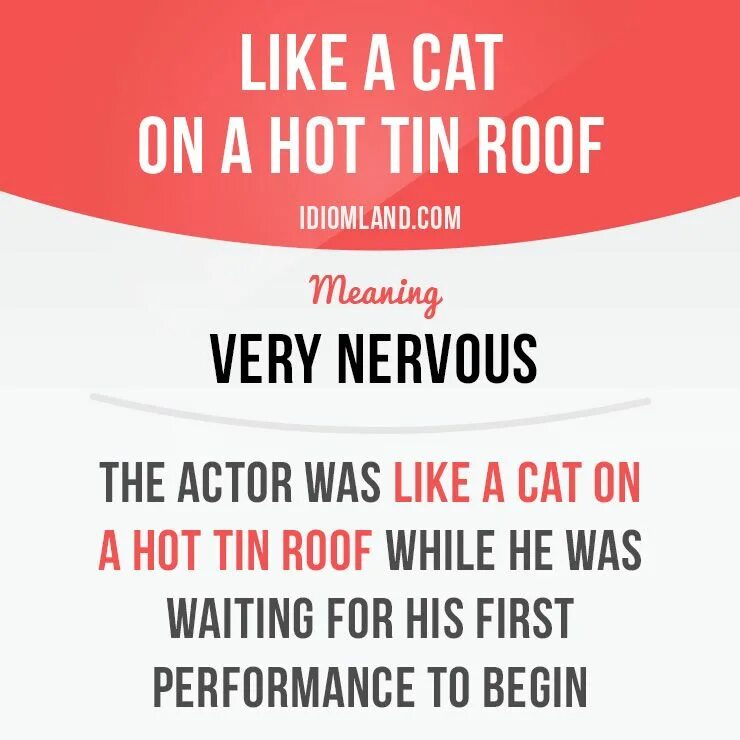 Idioms with roof. Like a Cat on a hot tin Roof идиома. Like a Cat on a hot tin Roof. Through the Roof идиома. Roof идиома.