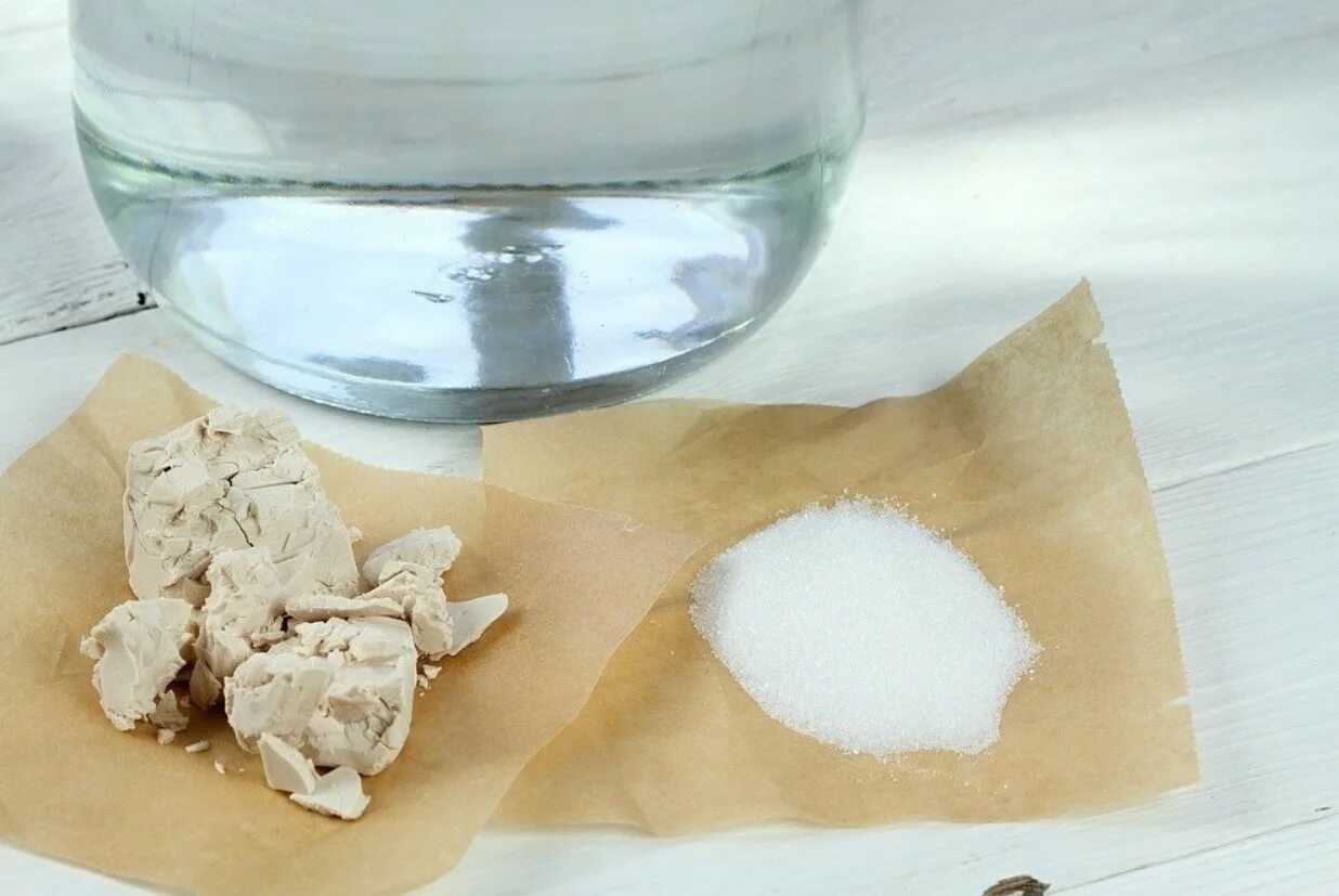 Дрожжи разлагают сахар. Дрожжи. сахар и дрожжи. дрожжи в воде. напиток из дрожжей.