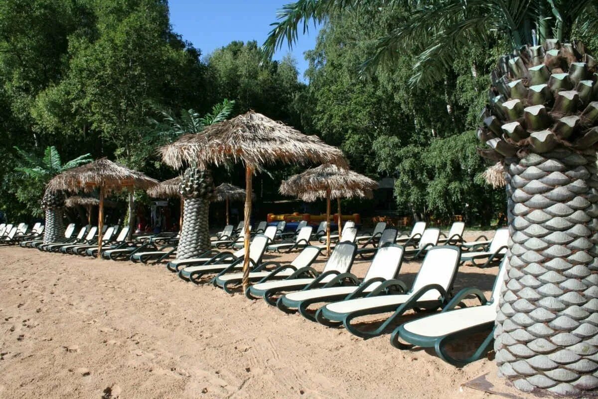 Малибу пляж пирогово. Пляжный комплекс «малибу», мытищи. Бухта радости малибу пирогово. Пляж пирогово мытищи малибу. Малибу москва.