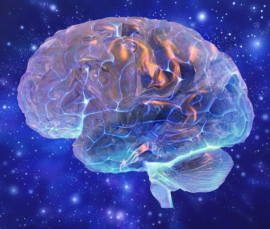 Brain 229. Красивый мозг. Мозг космос. Человек мозг сознание.