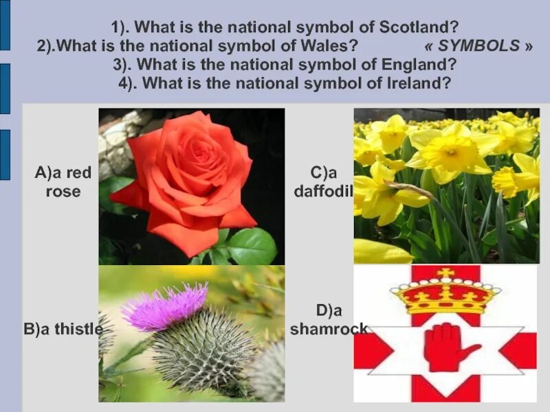 What is the symbol of wales