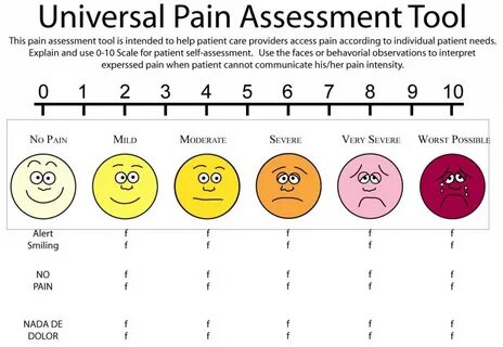 Meta scale