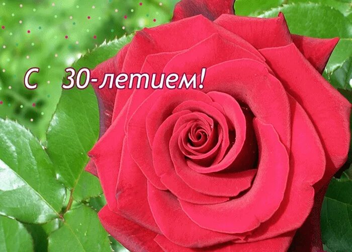 С юбилеем 30. Поздравление с 30 летием. Открытка с юбилеем 30 лет женщине. С днем рождения юбилей 30 лет.