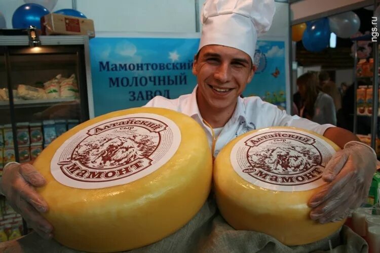 сыр круглый. сырная головка. большая головка сыра. большая головка сыра. огромный сыр.