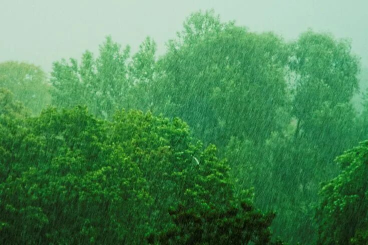 Rain sound, soothing sound of rain to fall asleep YouTube