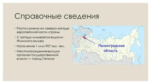 Доклад про ленинградскую область