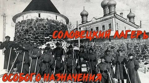 Слон соловецкий лагерь особого