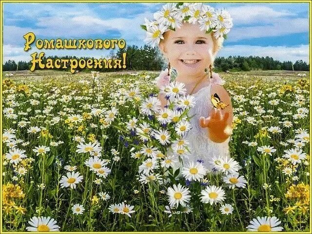 Доброе утро! ❤ ️Пусть это утро радость принесет! ❤ ️Красивое музыкальное пожелание