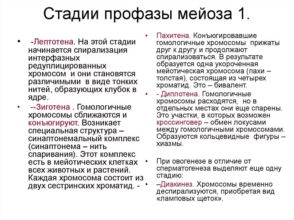 Фазы профазы 1 мейоза. Этапы профазы 1 мейоза. Стадии профазы 1 мейоза. В стадии зиготены профазы 1 мейоза происходит:.